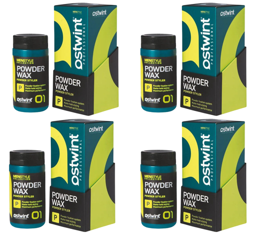 Pachet 4x Pudra de volum Styling Ostwint matte 20g