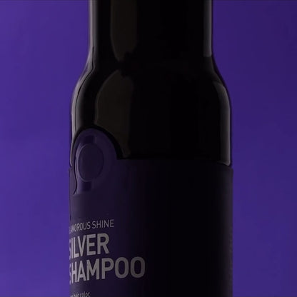 Sampon echilbrant Silver Ostwint - 1000ml